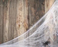 bianca ragno ragnatela con nero ragni su un' grigio di legno sfondo a partire dal vecchio tavole foto