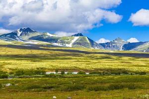 bellissimo montagna e paesaggio natura panorama rondane nazionale parco Norvegia. foto