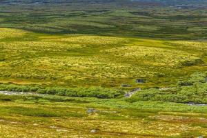 bellissimo montagna e paesaggio natura panorama rondane nazionale parco Norvegia. foto