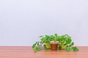 tazza di caffè e piante sulla scrivania foto