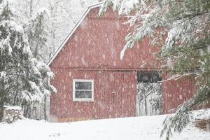 stalla porta aperta nella neve foto