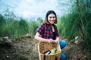 giovane agricoltore che raccoglie asparagi freschi