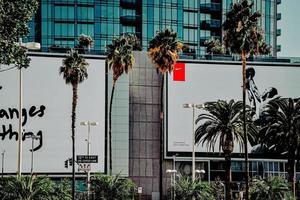 los angeles, ca, 2020 - palma verde vicino a un edificio in cemento bianco durante il giorno foto