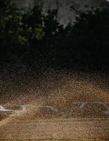 goccioline d'acqua sulla sabbia marrone foto