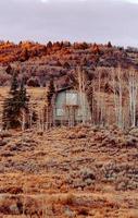 missouri, us, 2020 - casa in legno su campo in erba marrone foto