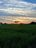 bellissimo rurale paesaggio con bellissimo pendenza sera cielo a tramonto. verde campo e villaggio foto