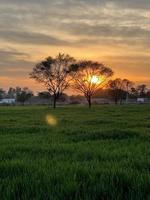 bellissimo rurale paesaggio con bellissimo pendenza sera cielo a tramonto. verde campo e villaggio foto