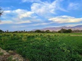 bellissimo rurale paesaggio con bellissimo pendenza sera cielo a tramonto. verde campo e villaggio foto