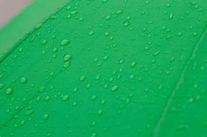 gocce di pioggia su un ombrello verde foto