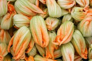 petali di fiori di zucca. foto