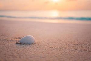 artistico spiaggia Visualizza, bianca conchiglia con sfocato mare e tranquillo, calmo natura. sorprendente rilassante natura paesaggio, sereno estate costa. luminosa spiaggia scenario, meraviglioso estate umore foto