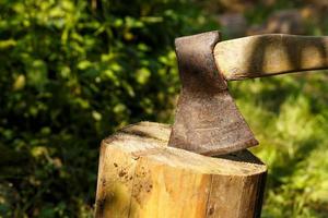 un ferro ascia con un' di legno maniglia incollato in un' albero ceppo. foto