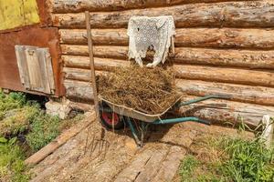 giardino carrello pieno con mucca letame sta contro il parete di il fienile. foto