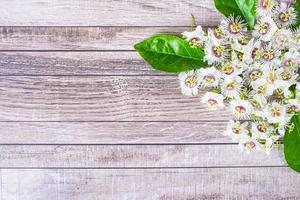 sfondo di legno con fiori foto