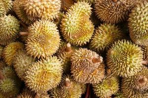 durian nel il mercato.gusto di durian frutta buffet Festival foto