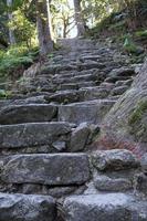 ripido le scale principale per kumano nachi taisha santuario vicino kii-katsuura nel Giappone foto