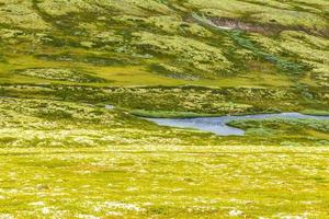 bellissimo montagna e paesaggio natura panorama rondane nazionale parco Norvegia. foto