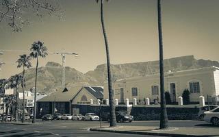 cape town western cape sud africa 2018 tipica strada con palme e parco nazionale di table mountain. foto