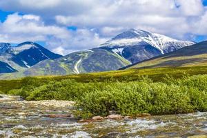 bellissimo montagna e paesaggio natura panorama rondane nazionale parco Norvegia. foto