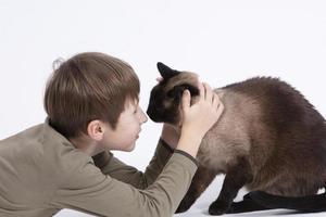 un' poco ragazzo è giocando con un' gatto. bambino e animale domestico. foto