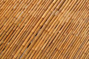 sfondo di bambù gambi foderato su come un' parete foto