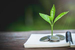 verde albero in crescita su i soldi monete, ,Salvataggio, crescita, sostenibile sviluppo, economico concetto foto