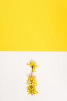 creativo saluto carta per Pasqua o La madre di giorno. un' ramo con Mela fiori su un' bianca e giallo geometrico sfondo con un' copia spazio foto