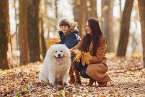 con carino cane. madre con sua figlio è avendo divertimento all'aperto nel il autunno foresta foto