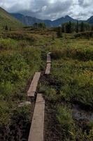 sentiero escursionistico in alaska foto