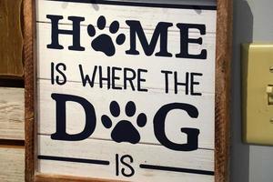 casa è dove il cane è cartello foto