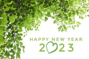 'felice nuovo anno 2023' nel verde colore con ficus rami e le foglie sfondo, concetto per saluto invito carta e contento nuovo anno 2023, contento vita. foto