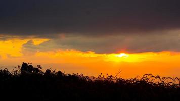 Alba nel il paesaggio di colline e prati. persone partire su il montagne per vedere il scenario, il sole, il alba, e il orizzonte sopra il terra foto