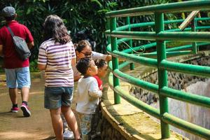 Giacarta, Indonesia nel dicembre 2022. il zoo nel ragunano è uno di il preferito posti per piccolo e grande famiglie foto