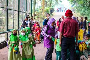 Giacarta, Indonesia nel dicembre 2022. il zoo nel ragunano è uno di il preferito posti per piccolo e grande famiglie foto