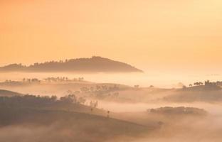 montagne e foreste coperte di nebbia foto