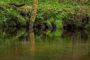 un' piccolo foresta ruscello con arenaria scogliere e pietre foto