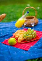 cestino da picnic con frutta, pane e bottiglia di vino bianco foto