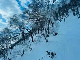 montagna con alberi coperto con neve foto