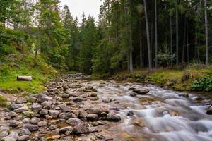 alto montagna selvaggio fiume nel nazionale parco foresta, pacifico autunno primavera paesaggio. acqua ruscello nel nazionale parco nel Polonia. inferiore alpino il trekking sentiero. foto
