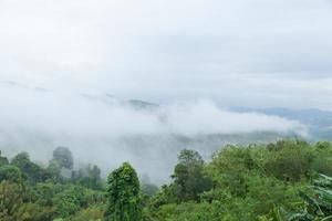 nebbia nella foresta foto