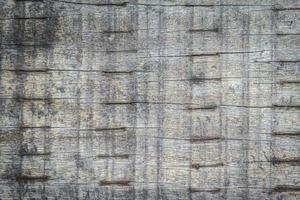 primo piano del muro di legno grigio per texture o sfondo