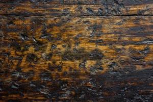 primo piano del muro di legno carbonizzato o bruciato per texture o sfondo foto