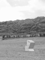 norderney isola nel il nord mare foto