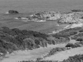 l'isola della corsica foto