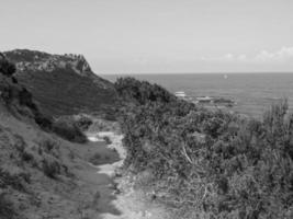 l'isola della corsica foto