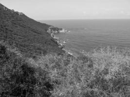 l'isola della corsica foto