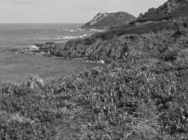 l'isola della corsica foto