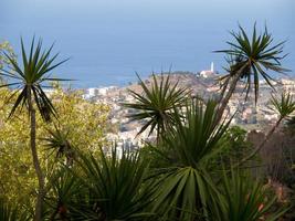 madeira isola nel Portogallo foto