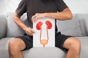 uomo Tenere bianca carta con immagini di uretra e reni. foto