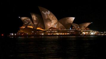 bellissimo australiano Paradiso foto